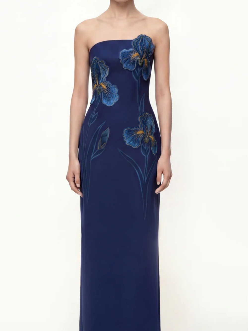 JW Pei Iris Embroidered Strapless Maxi Dress